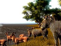 Zebra & Impala Safari Pack.