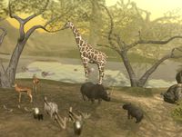 African Safari Package