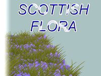 Scottish Flora Pack