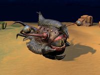 Devil Fish