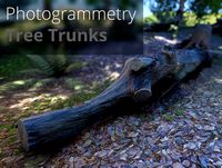 3D-Scanned, Photo-Grammetry Tree Trunks