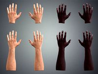 Leap Motion Realistic Male Hands