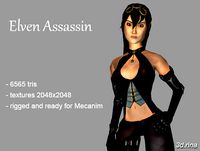 Elven Assassin Low poly