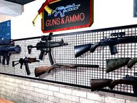 Gun Store and Shooting Range