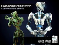 Humanoid Robot