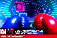 VIASS VR Boxing Pack