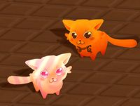 Sweet Cat