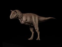 Carnotaurus Asset Pack