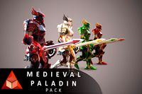 Medieval Paladin Pack