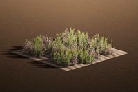 Farm Field | Dead/Dying