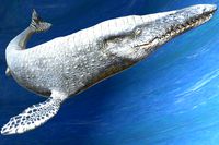 Mosasaurus