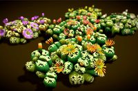 Flower Lithops