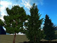 Pint Trees Vol. 1