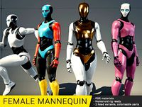 Female Mannequin (Humanoid rig)