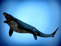 Basilosaurus Asset Pack