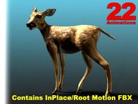 Forest Animal - Deer Fawn (Young)
