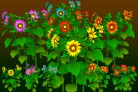 Flower Helianthus Annuus