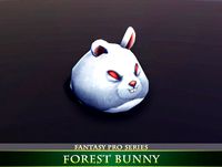 Forest Bunny