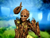 Forest Spirit