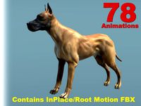 Dog Dane (FV) Single