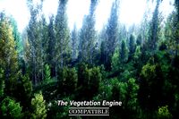 Birch Forest Environment