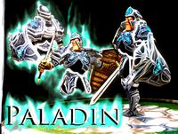 Paladin