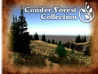 Conifer Forest Collection