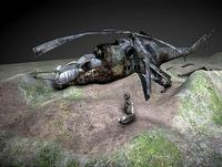 Mi 24 Crashed