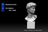 Classical David Sculpture