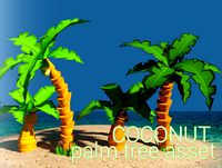Coconut Palm Tree