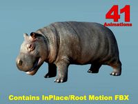 African Animal Baby Hipopotamus (Full Version)