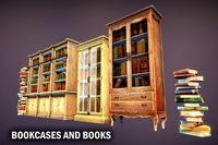Bookcases and books