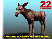Forest Animal - Moose Calf (Young)