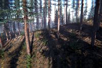 Spruce Trees Pack