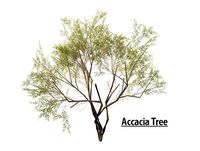 Different low poly Tree collection