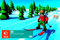 Ski - Props for Winter Runner