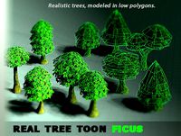 Real Tree Toon Ficus