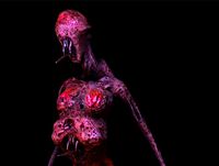 Total Horror 2 The Stalker