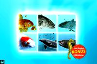 Fish School Bundle