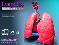 Lungs Pro Textured