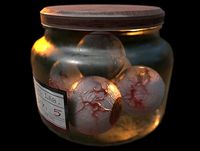 Specimen Jar