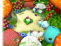 UnderWater corals