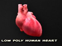 Low Poly Human Heart