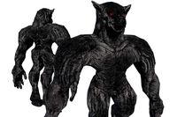 Wolf humanoid