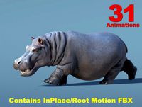 African Animal - Hippopotamus