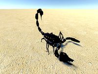 Sand Scorpion