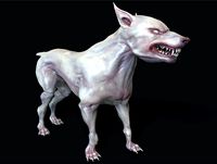 Mutant Dog