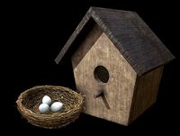 Birdhouse &amp; Nest