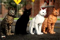 Animalia - Cat