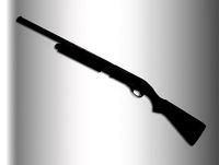 American Shotgun, 1951